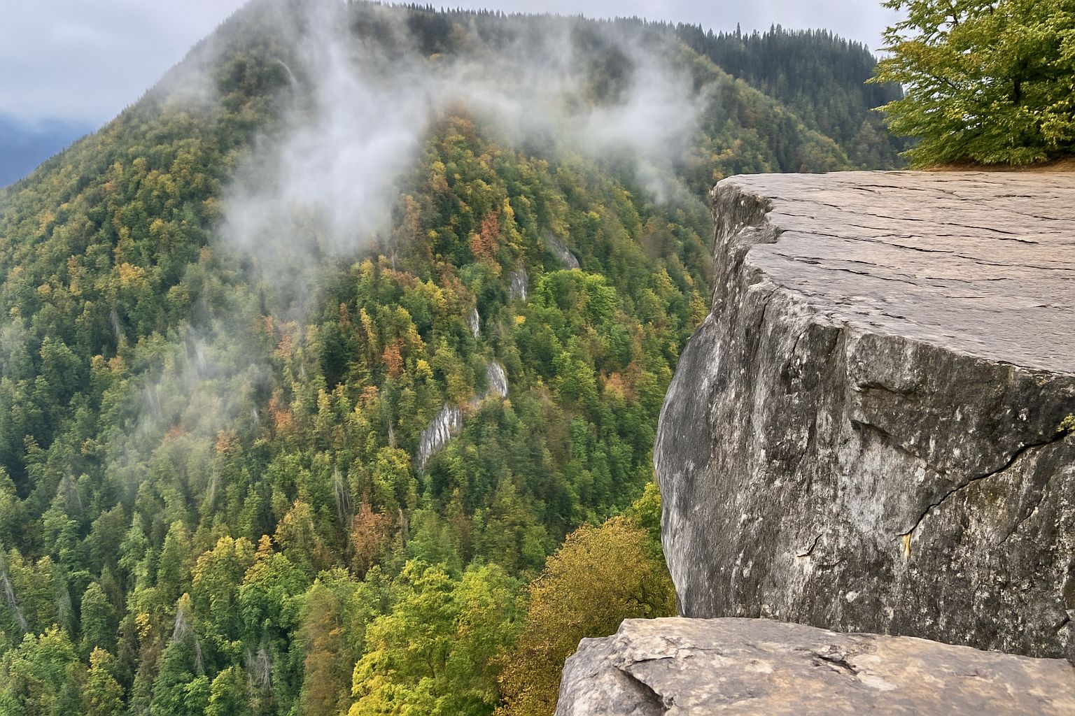 zdjecie-whatsapp-2025-08-26-o-14.47.17_170b99b3