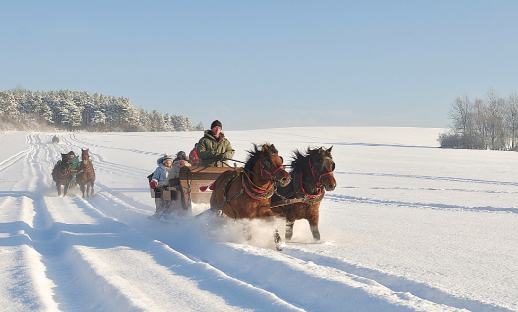 zrzut-ekranu-2025-12-01-195839