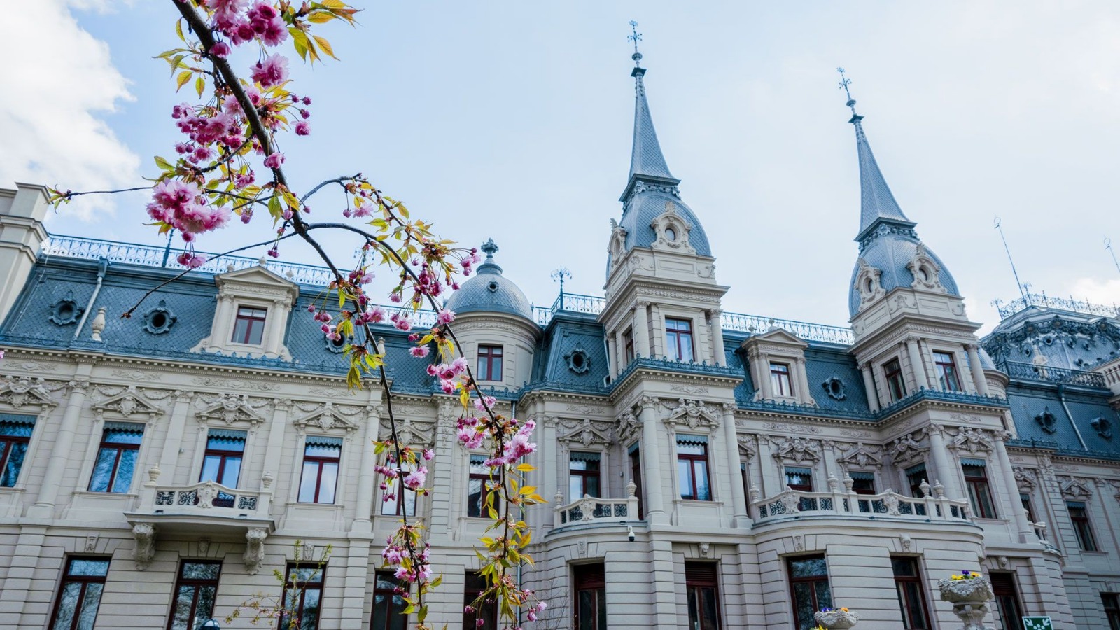 whatsapp-image-2026-01-15-at-11.12.57