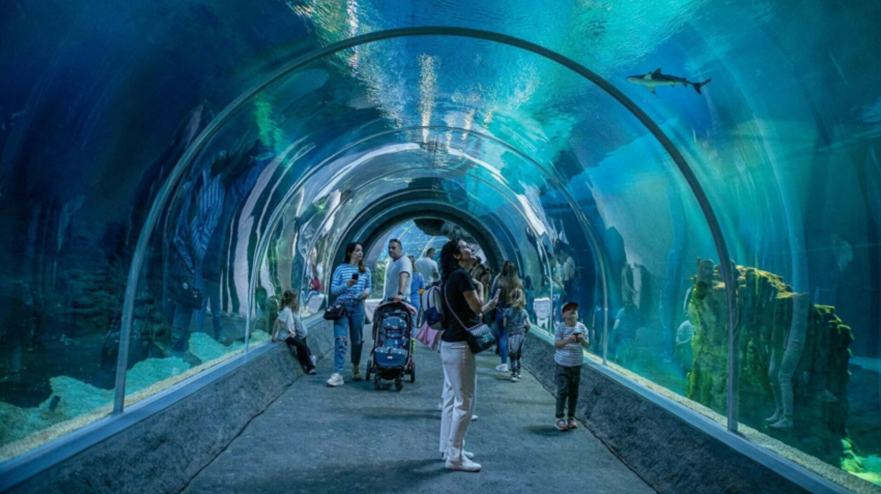 zrzut-ekranu-2026-01-16-104800