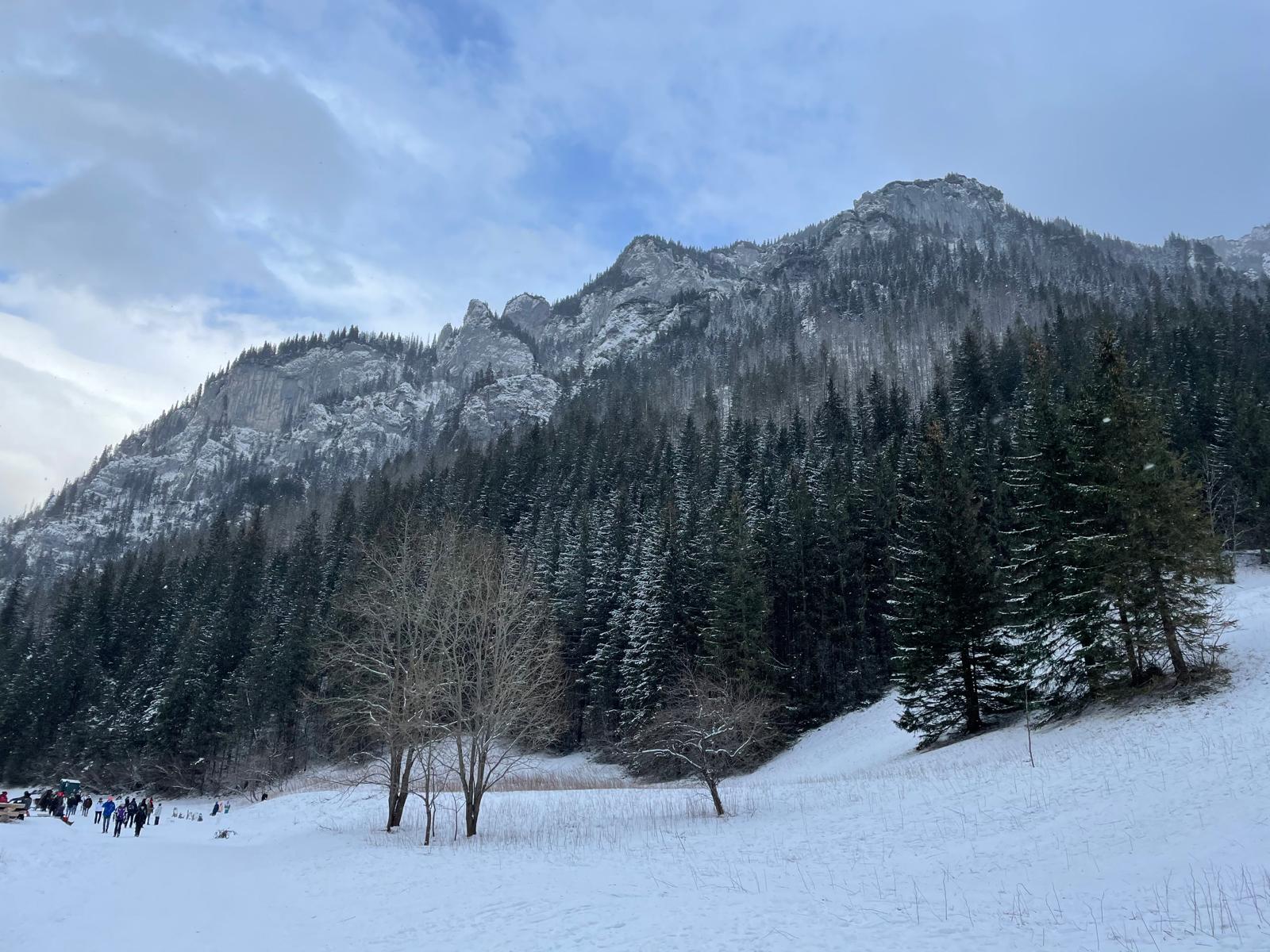 whatsapp-image-2026-01-19-at-15.37.47