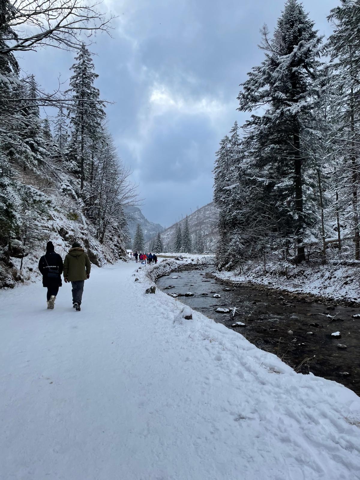 whatsapp-image-2026-01-19-at-15.38.38