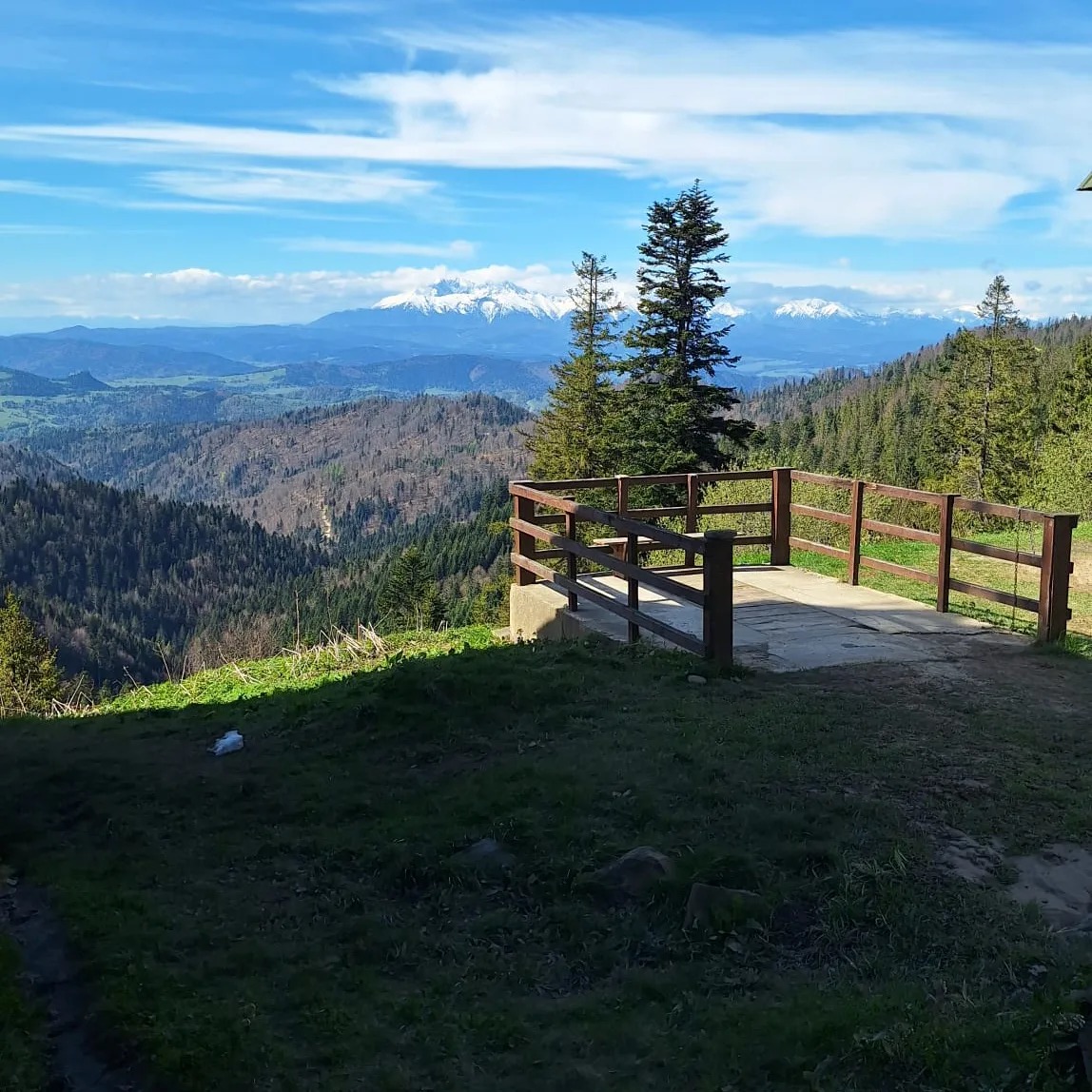 475495828_122213298512035077_777403184635051723_n