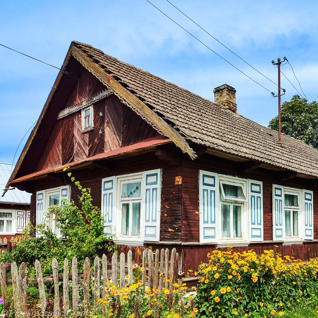 489062293_1190840846152904_8537794082709161611_n