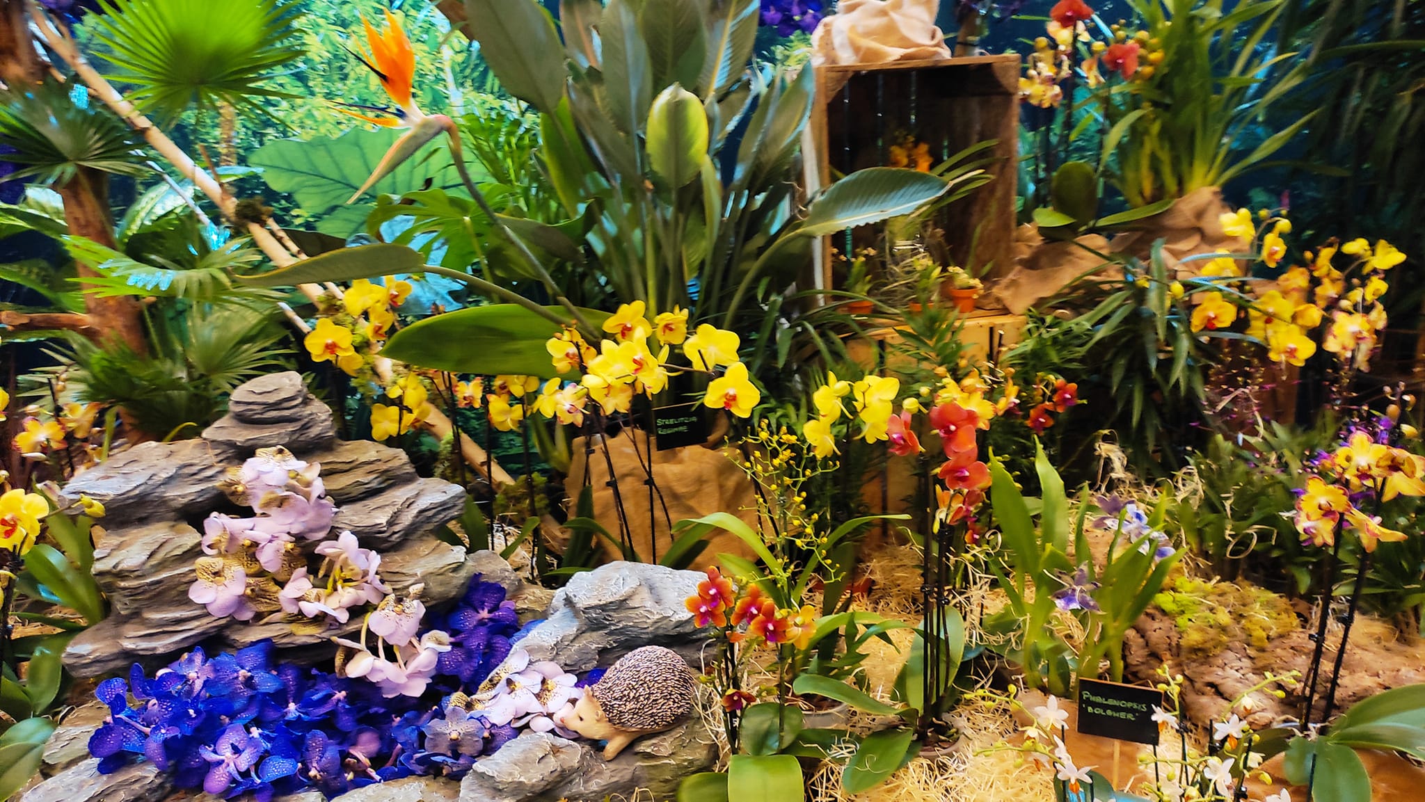 494649974_9636380396439765_4606122725758373108_n