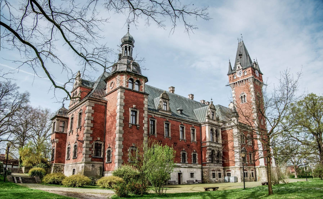 zrzut-ekranu-2026-02-02-171431