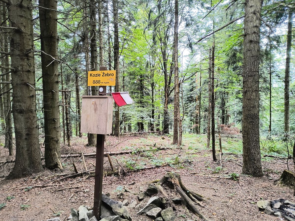 img_20240818_124344596_hdr