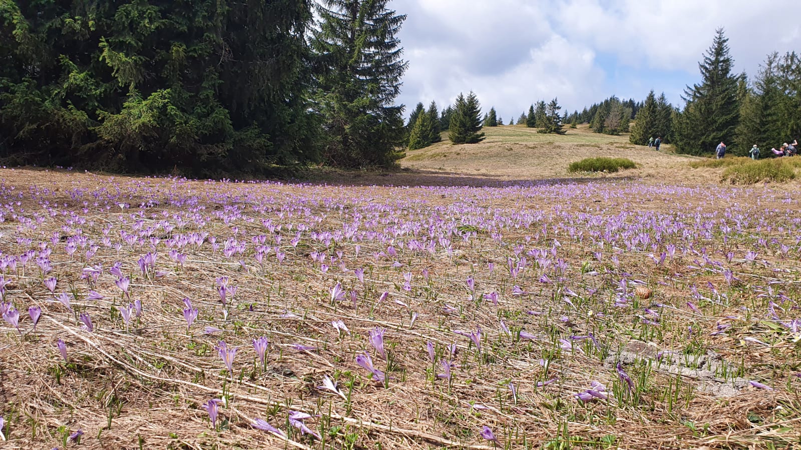 whatsapp-image-2026-03-02-at-12.03.19-1