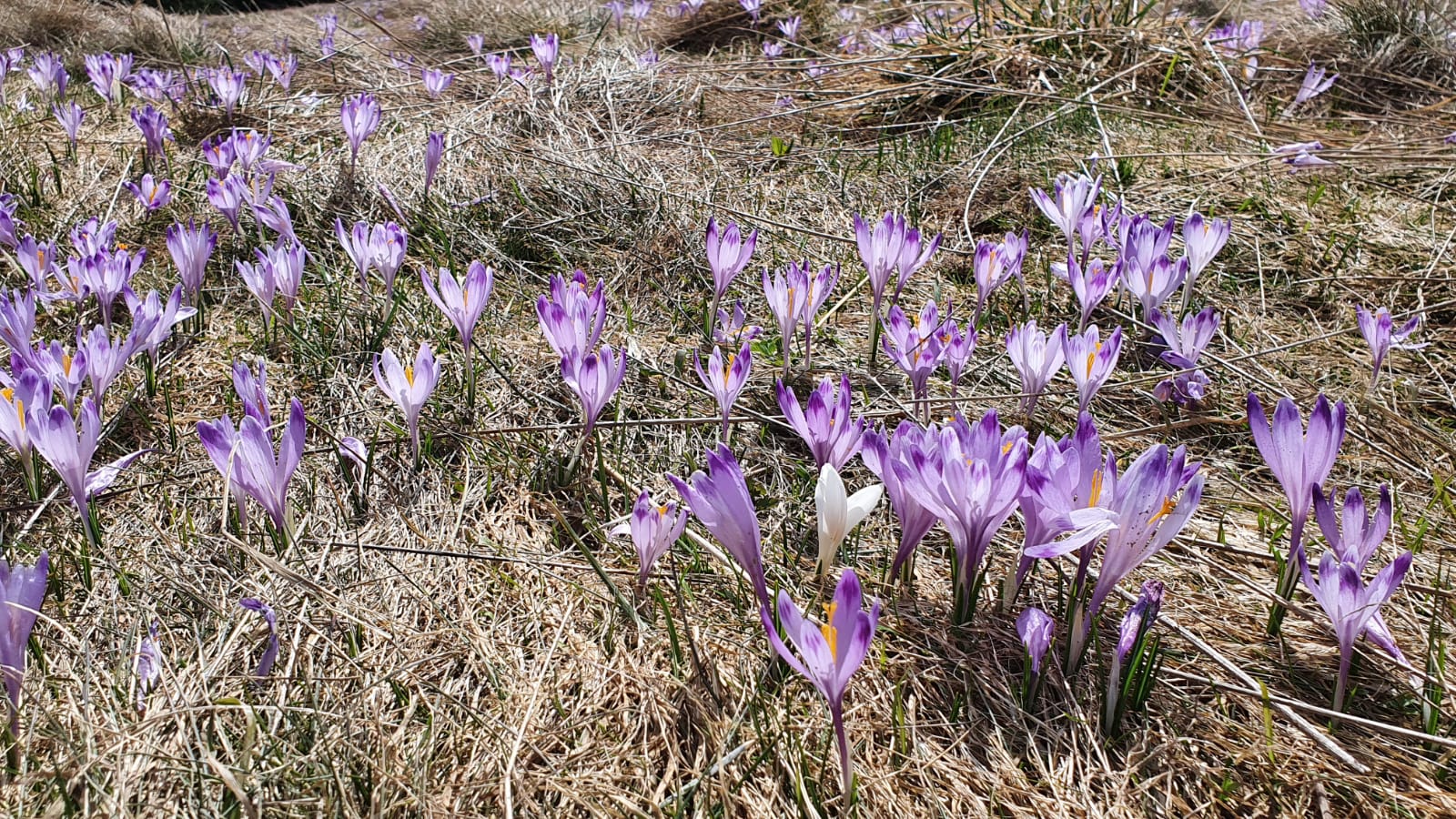 whatsapp-image-2026-03-02-at-12.03.19-2