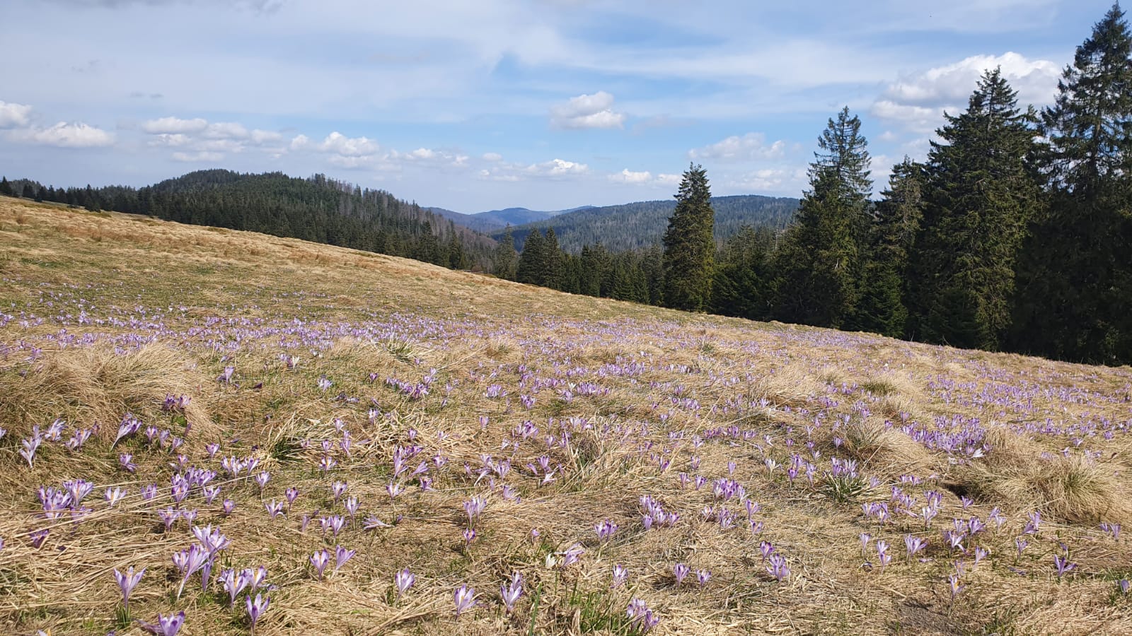 whatsapp-image-2026-03-02-at-12.03.19