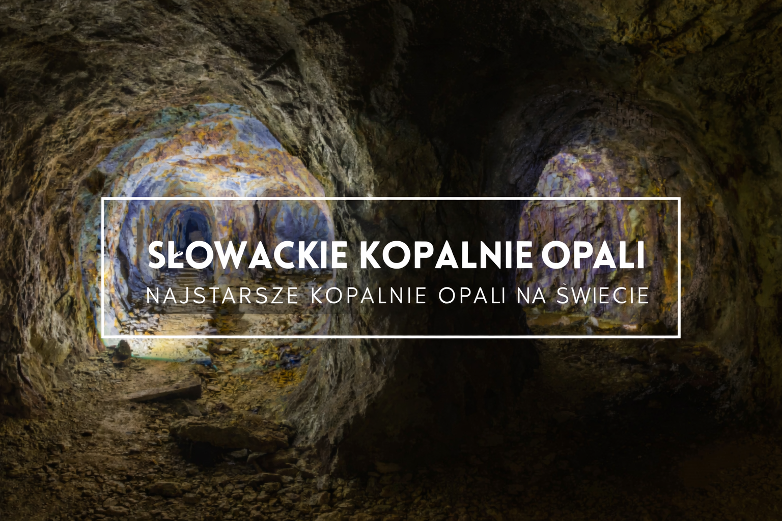 chatgpt-image-19-mar-2026-11_44_23