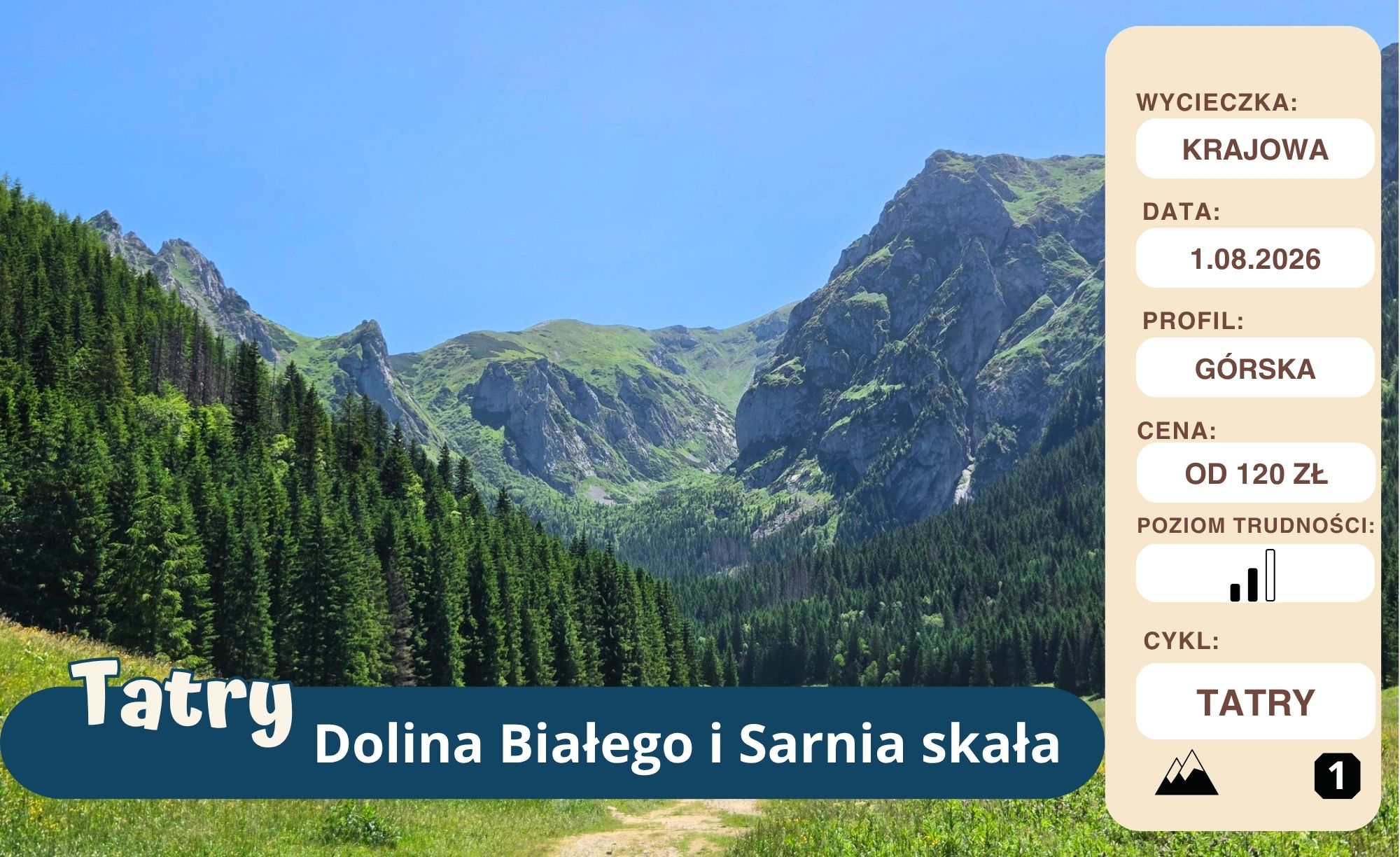 TATRY: Dolina Białego