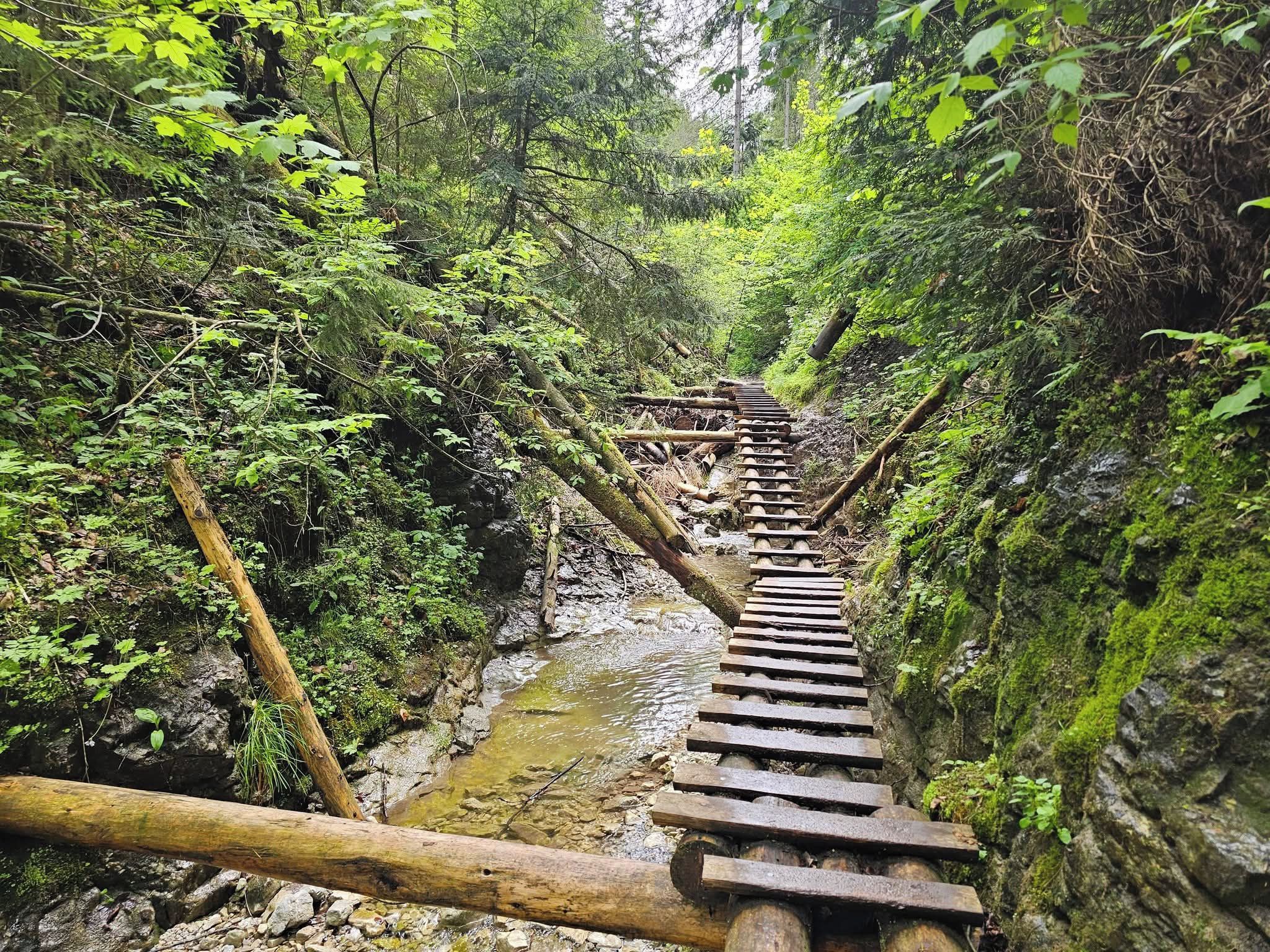 3851