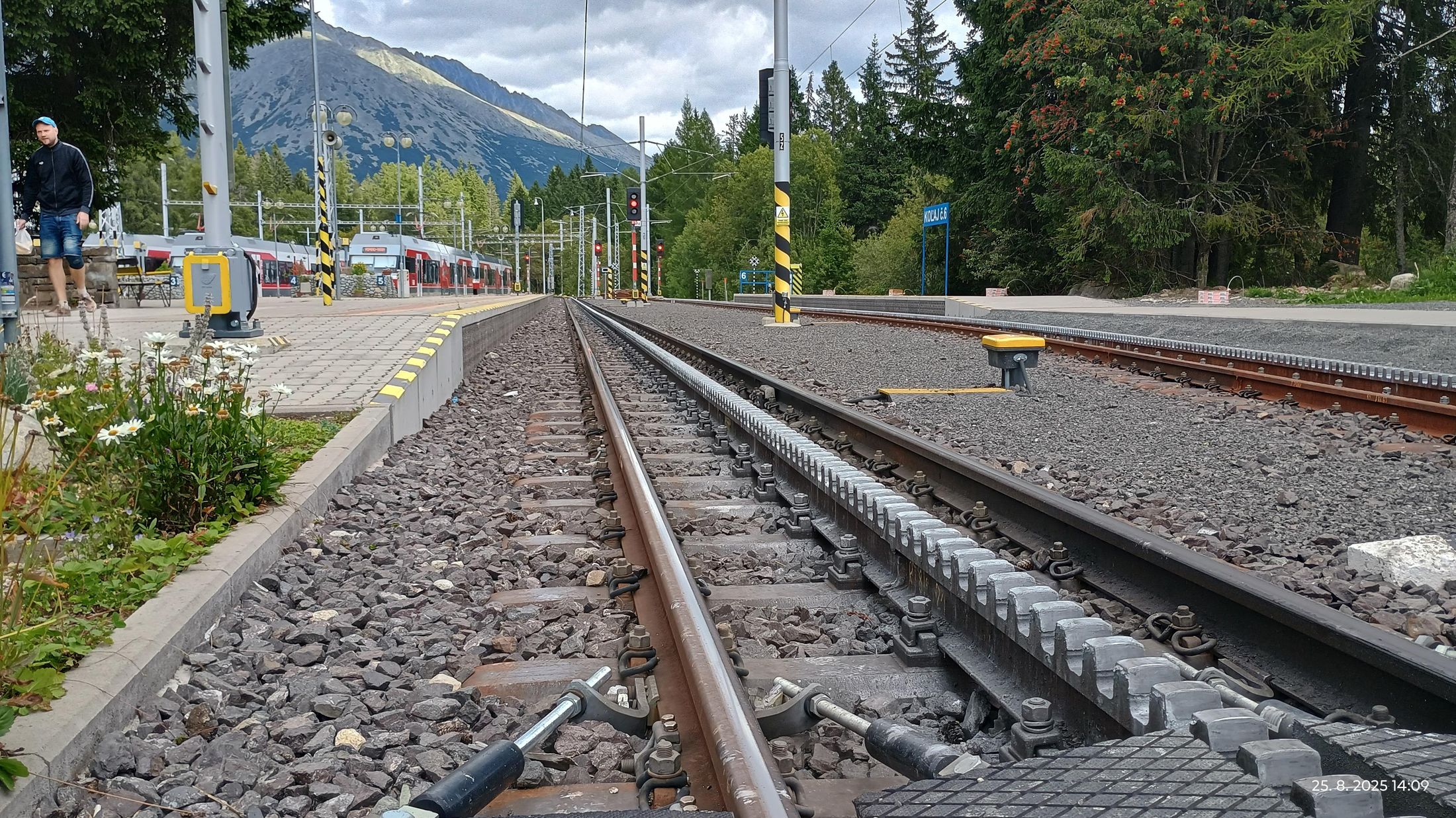 3124