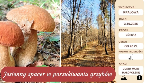 W poszukiwaniu grzybów